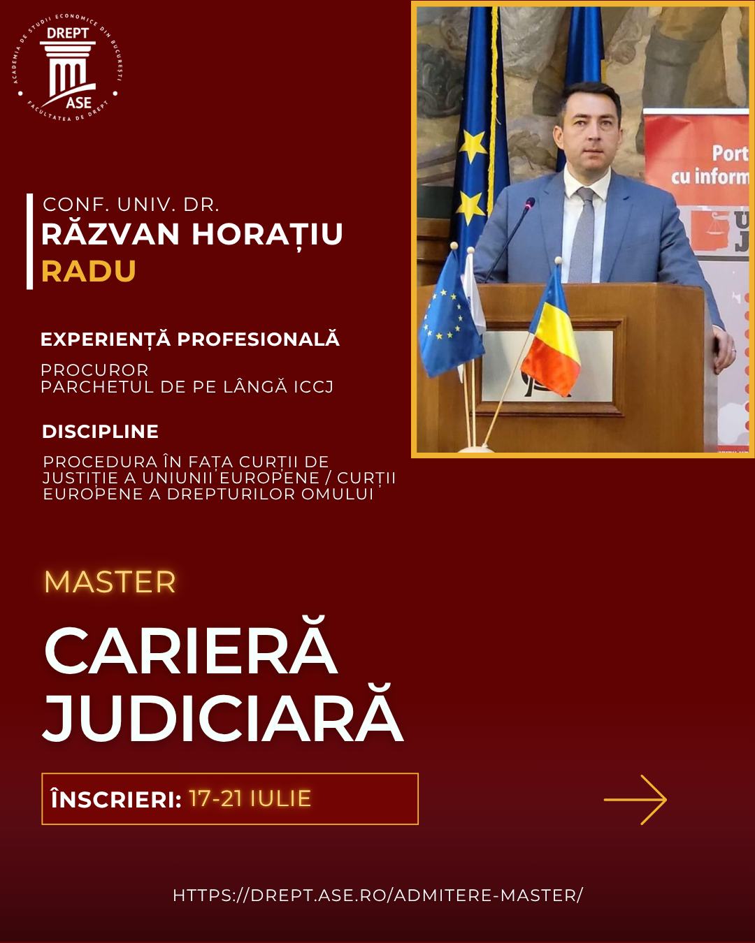 Procedura în fața Curții de Justiție a Uniunii Europene (opțional) / Procedura în fața Curții Europene a Drepturilor Omului (opțional)