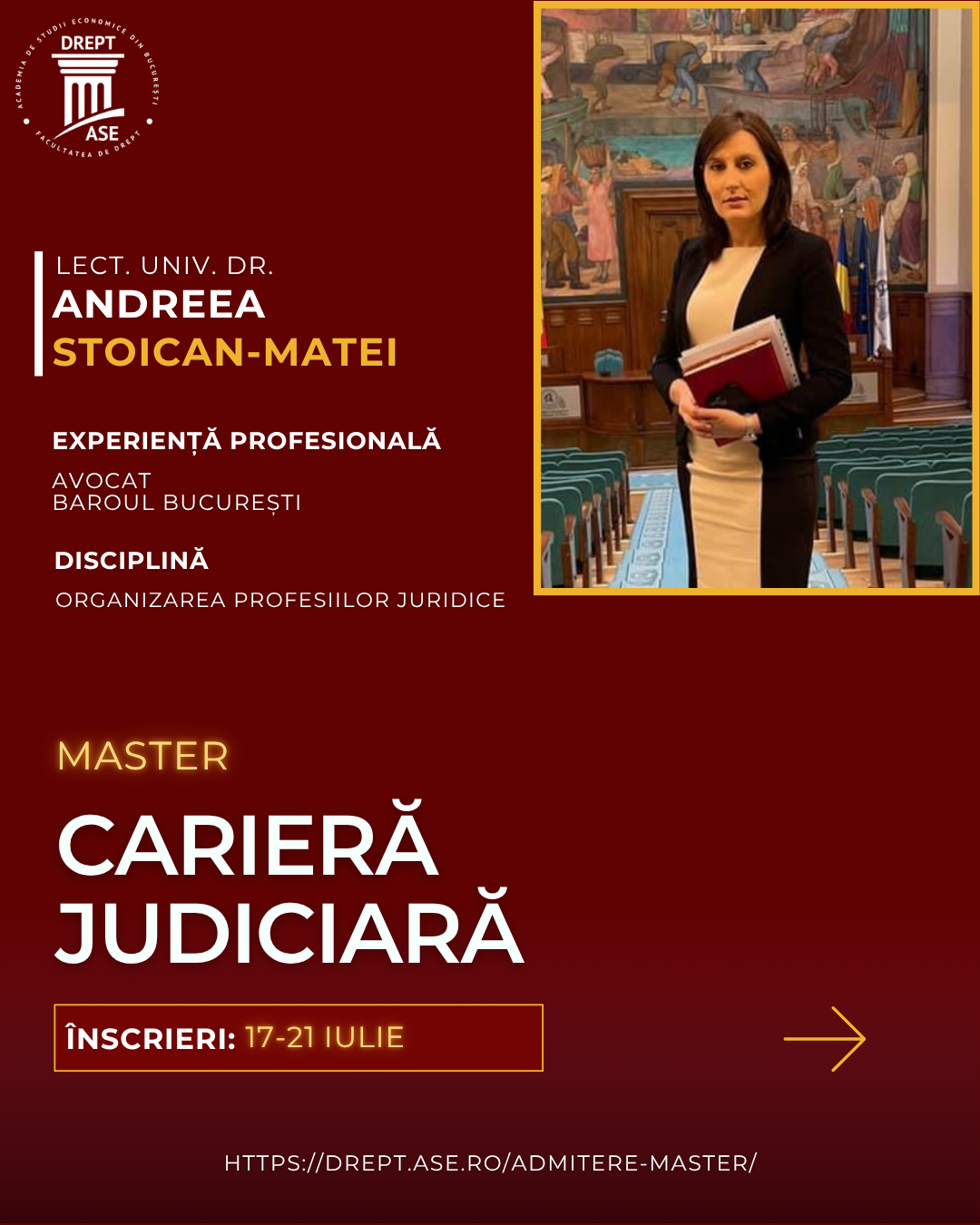 Organizarea profesiilor juridice